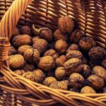 Reddybook Review: Transforming Digital Publishing with Cutting‑Edge Tools